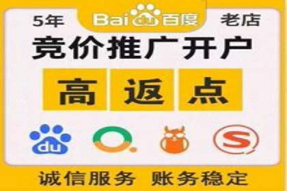 电商信息流广告推广成功案例分享